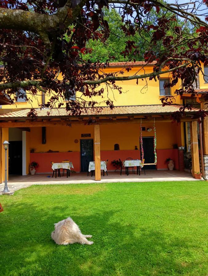 Terra Del Bosco Agriturismo Sesta Godano Εξωτερικό φωτογραφία