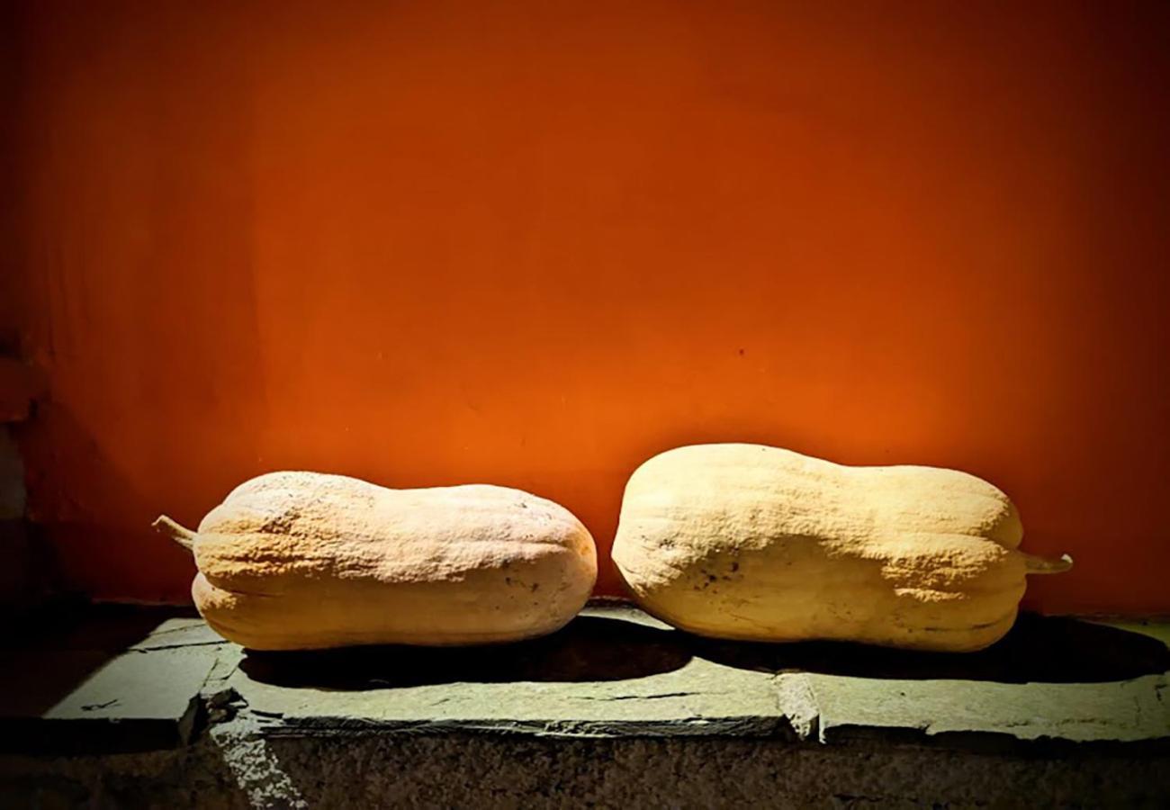 Terra Del Bosco Agriturismo Sesta Godano Εξωτερικό φωτογραφία