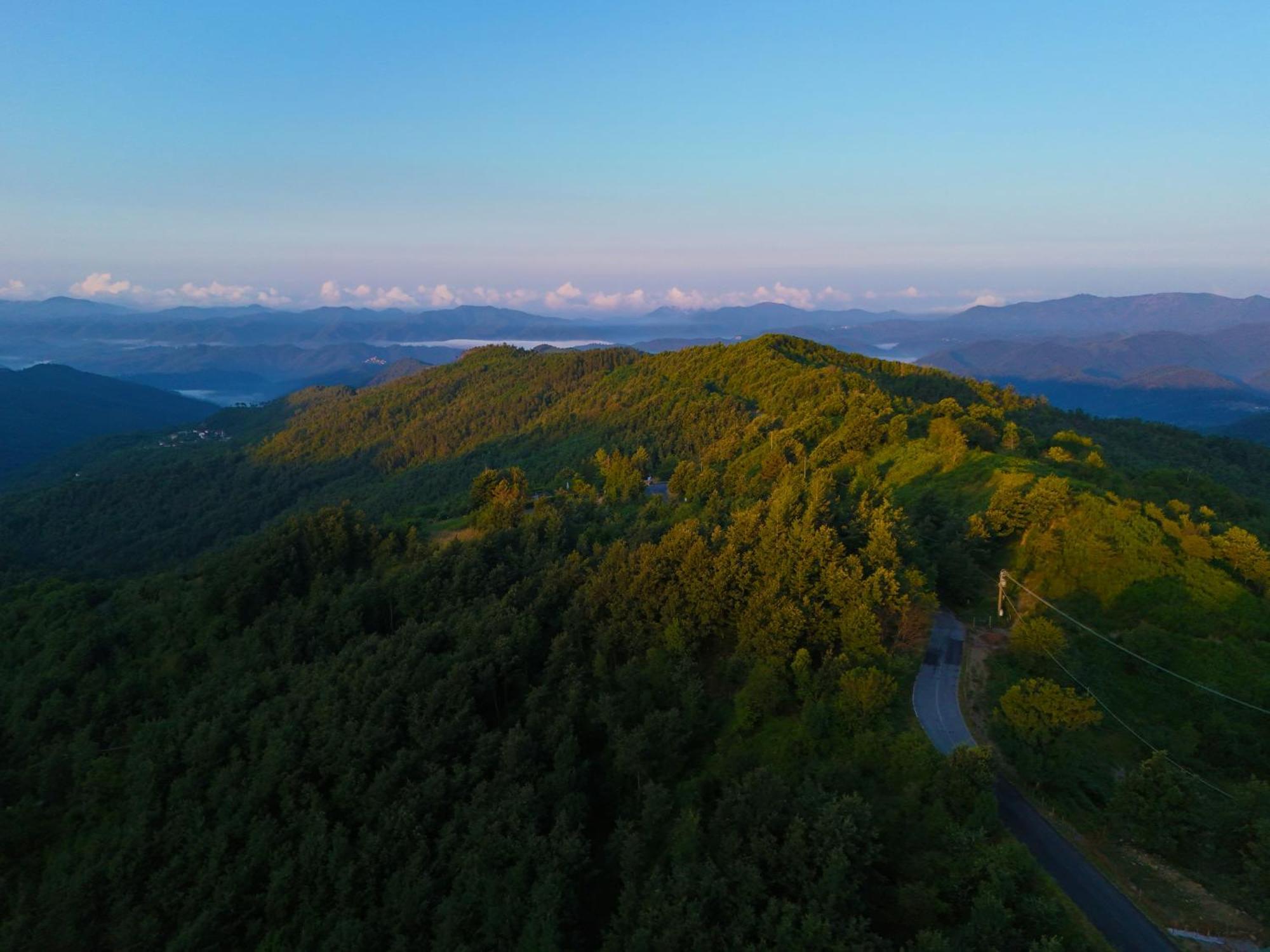 Terra Del Bosco Agriturismo Sesta Godano Εξωτερικό φωτογραφία
