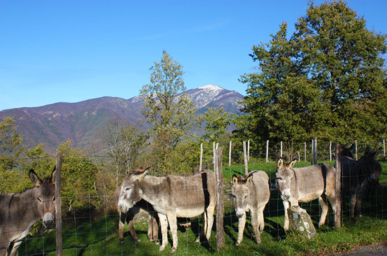 Terra Del Bosco Agriturismo Sesta Godano Εξωτερικό φωτογραφία
